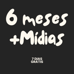 6 Meses Postagem + Mídias